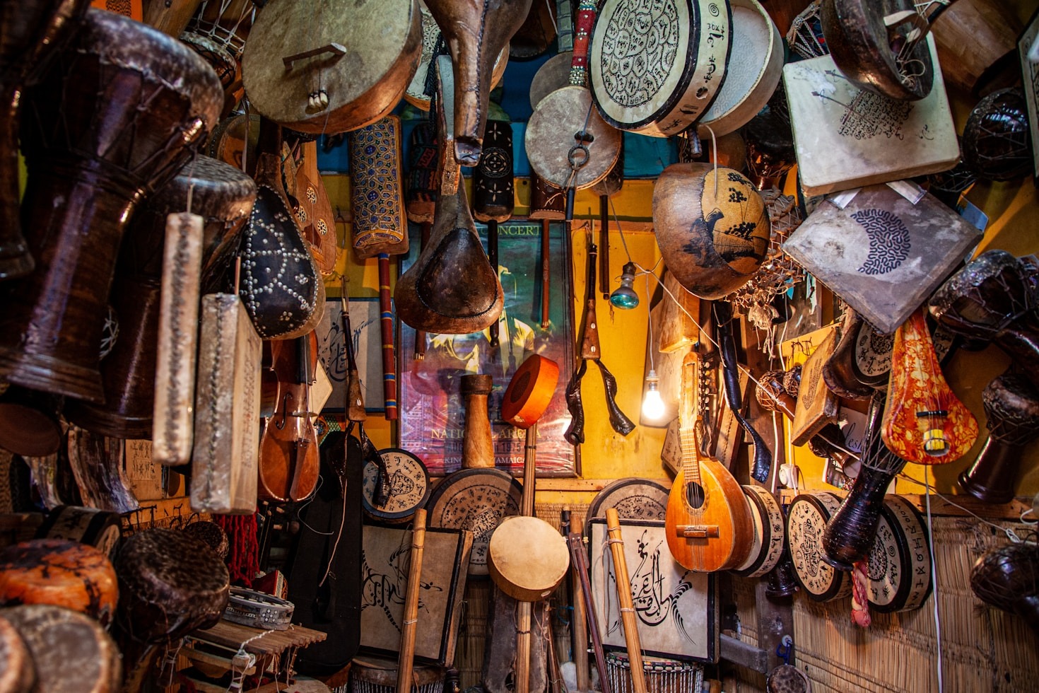 Essential Gear Every Kitchen Should Have